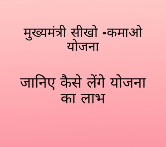 मुख्यमंत्री सीखो-कमाओ योजना: