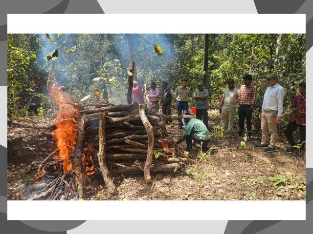 Kanha National park:2025 में हर माह एक बाघ की मौत  